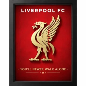 Liverpool FC 3D Printed Logo Frame